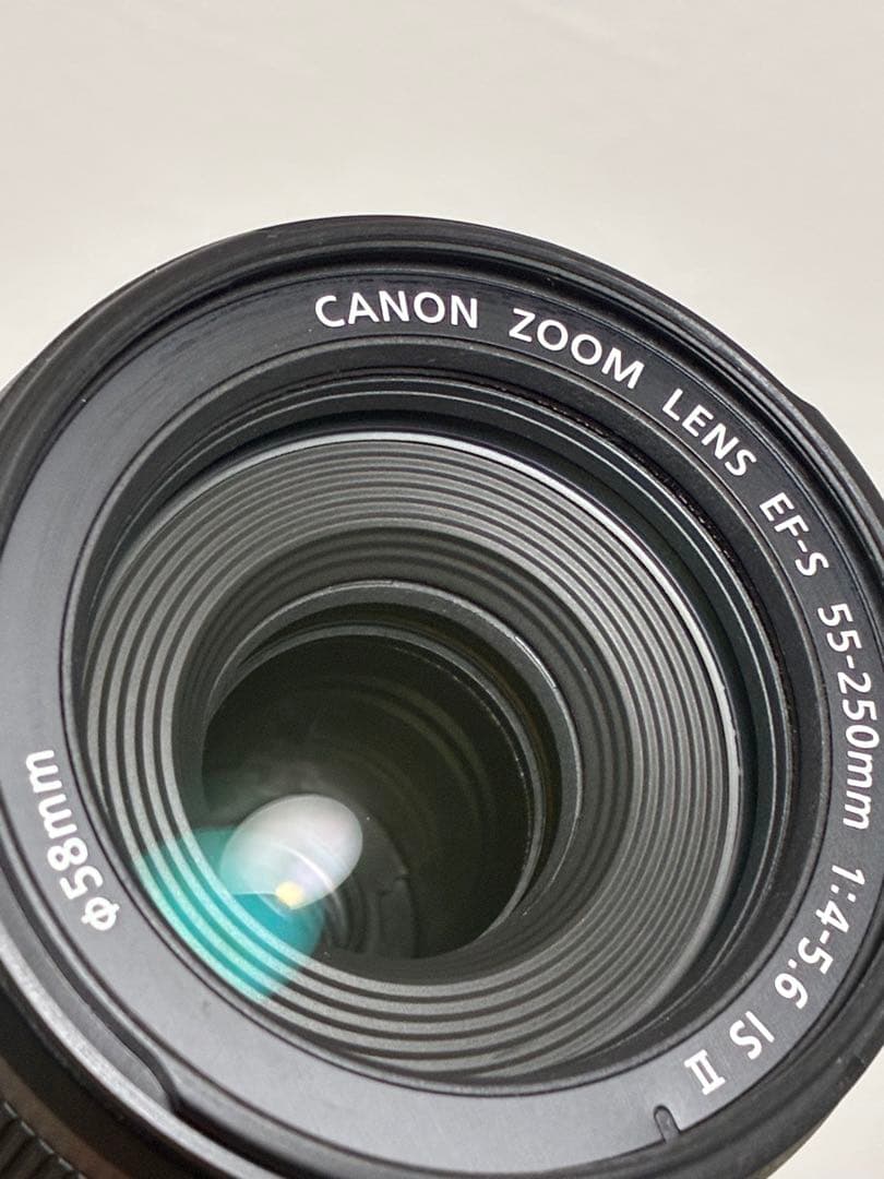 ⭐️極上美品⭐️キャノンCanon EF-S 55-250mm IS II 望遠