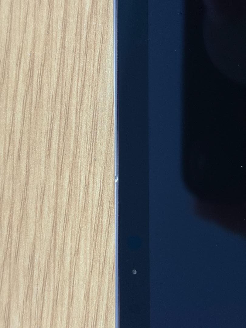 iPad Pro M4 11インチモデル 256GB Cellular