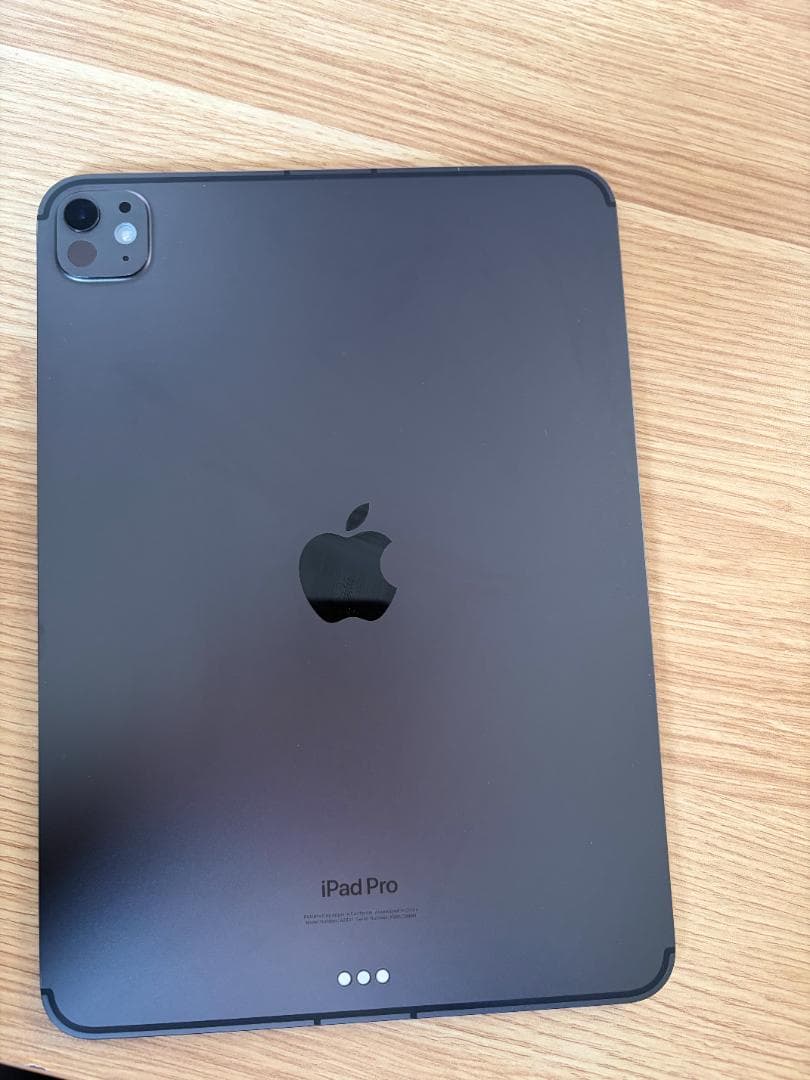 iPad Pro M4 11インチモデル 256GB Cellular