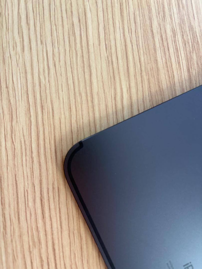 iPad Pro M4 11インチモデル 256GB Cellular