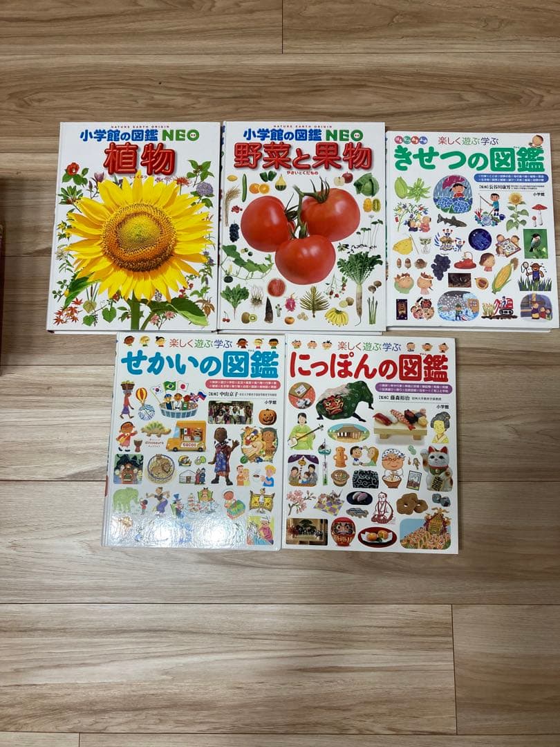 小学館の図鑑NEO11冊セット（一部DVD付属）