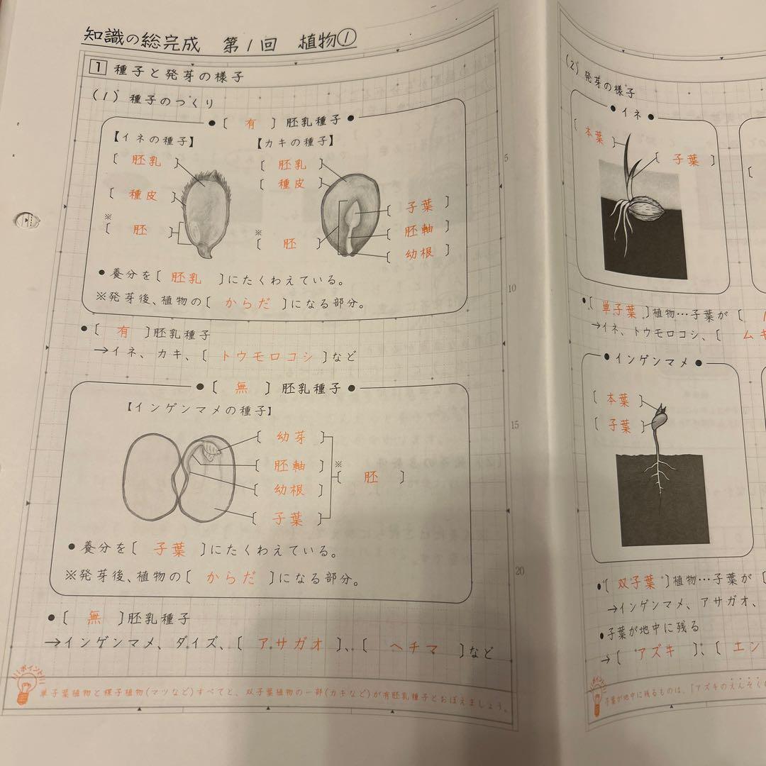 サピックス　知識の総完成　理科　6年生総まとめ　欠番なし