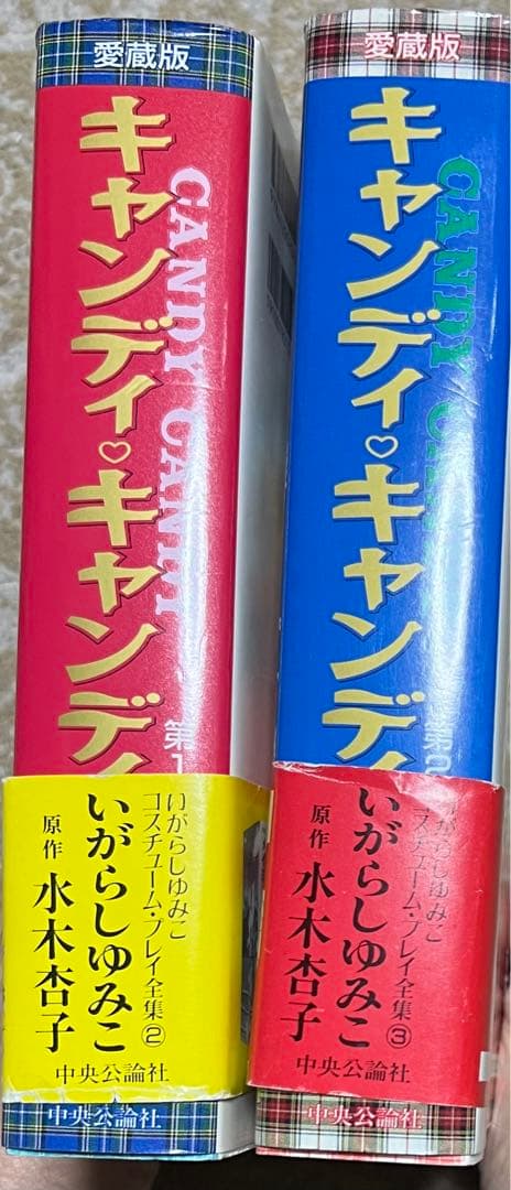 【中央公論社】キャンディ♡キャンディ愛蔵版・全2巻 / 水木杏子・いがらしゆみこ