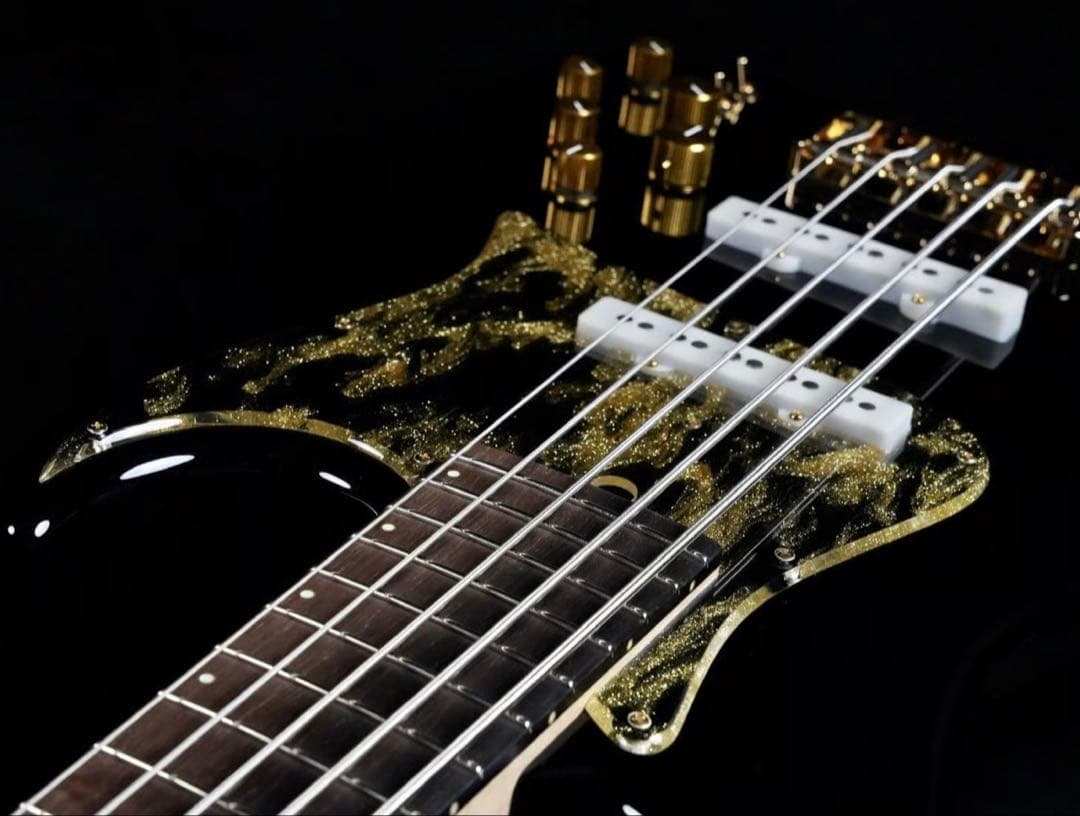 極美品‼️Wood Custom Guitars Vibe-5 ハードケース付