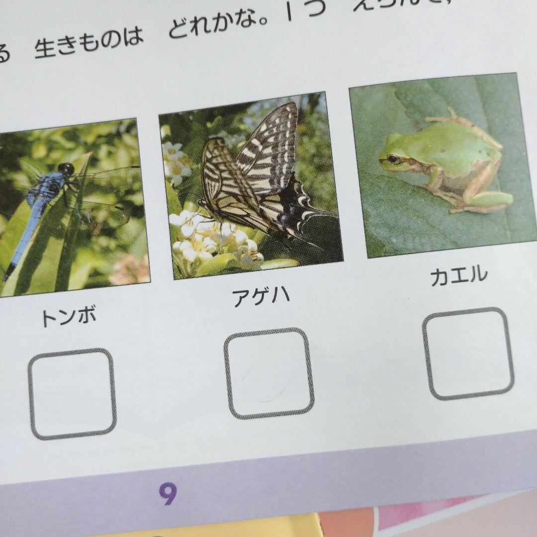 z会2年生　ハイレベル + みらい  おまけ付き