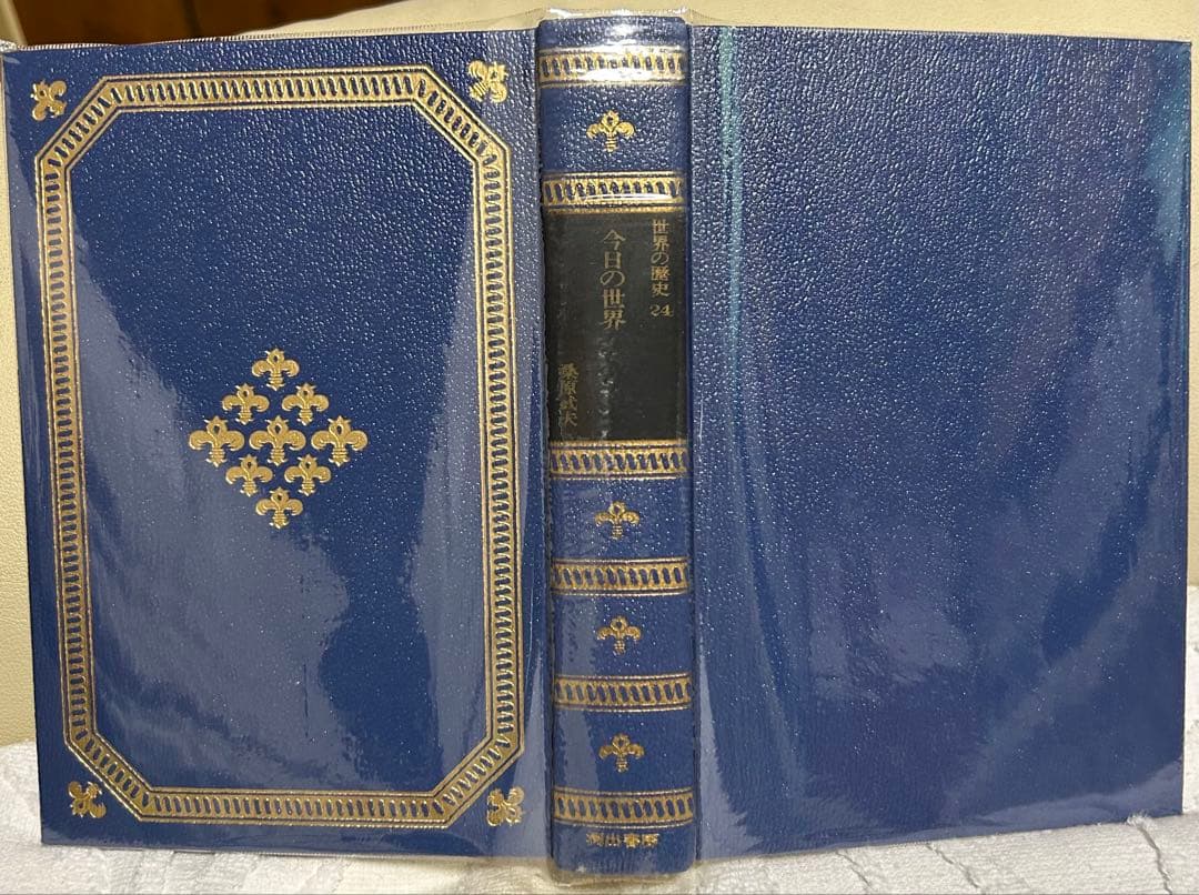 カラー版世界の歴史全24巻　河出書房