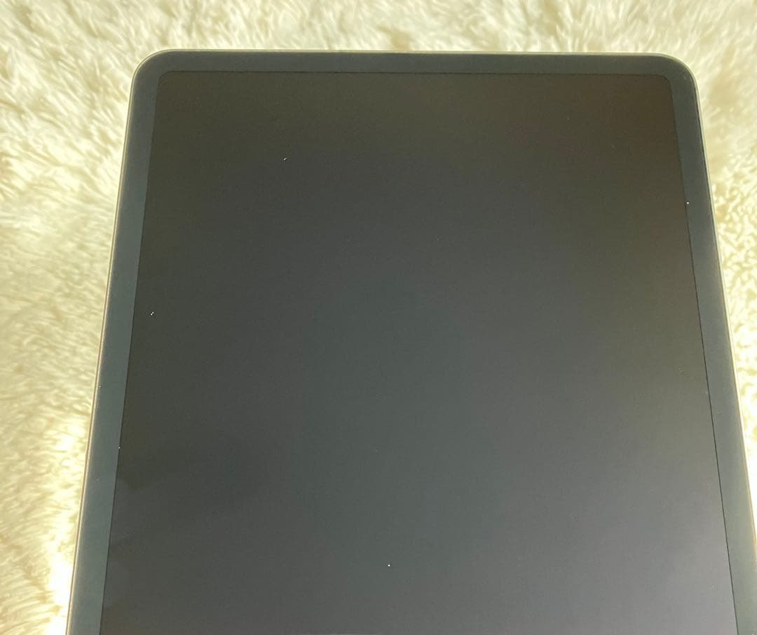 【完動品】iPad Pro 11インチ 256GB SIMフリー 【すぐ発送】