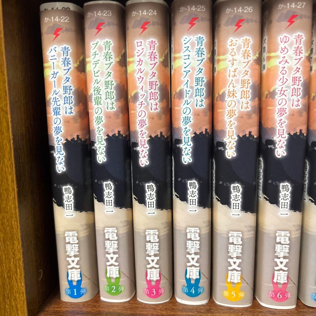 青春ブタ野郎シリーズ小説