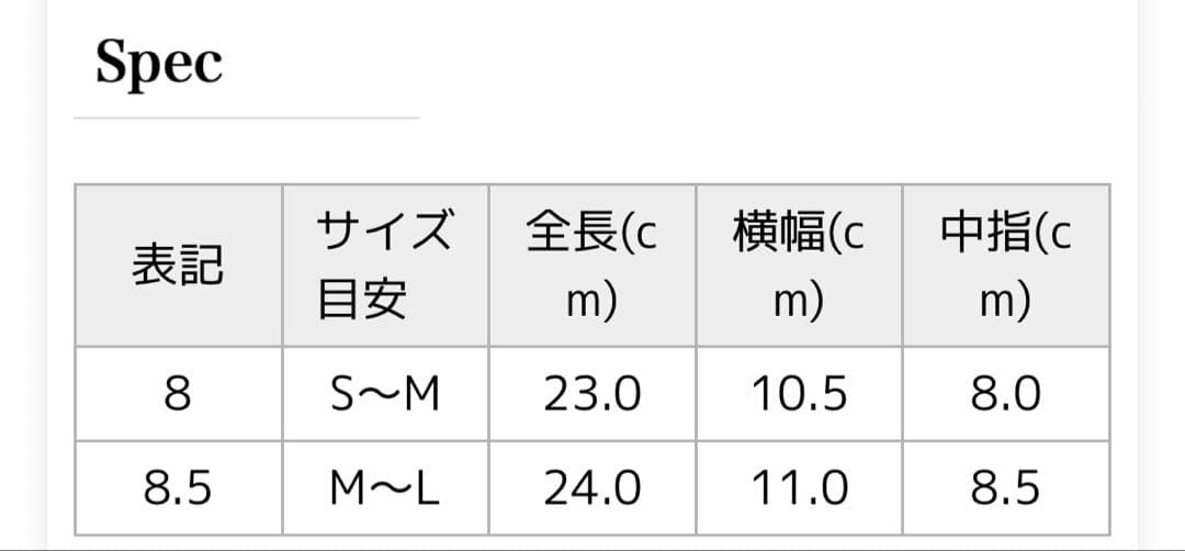 GLOVES グローブスFilli Forinoレザー 編み込み 手袋 グローブ