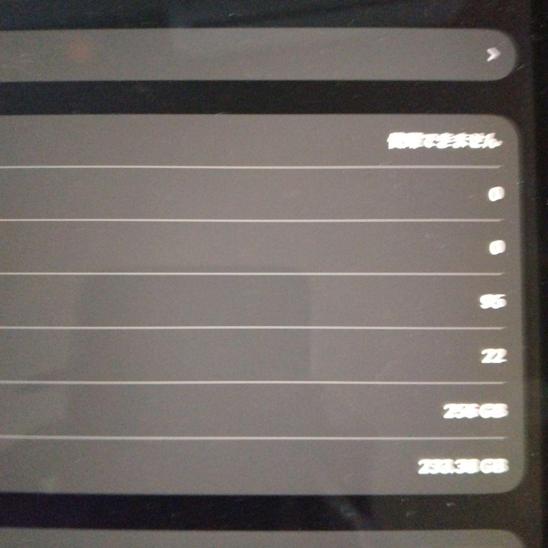iPad Pro (12.9インチ) 第3世代 256GB