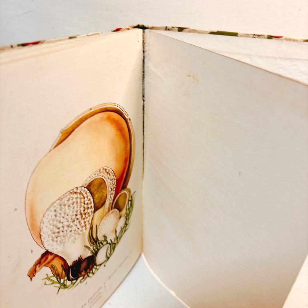 ペンギン文庫 1943年発行 美しいきのこ 図鑑 洋書 FUNGI