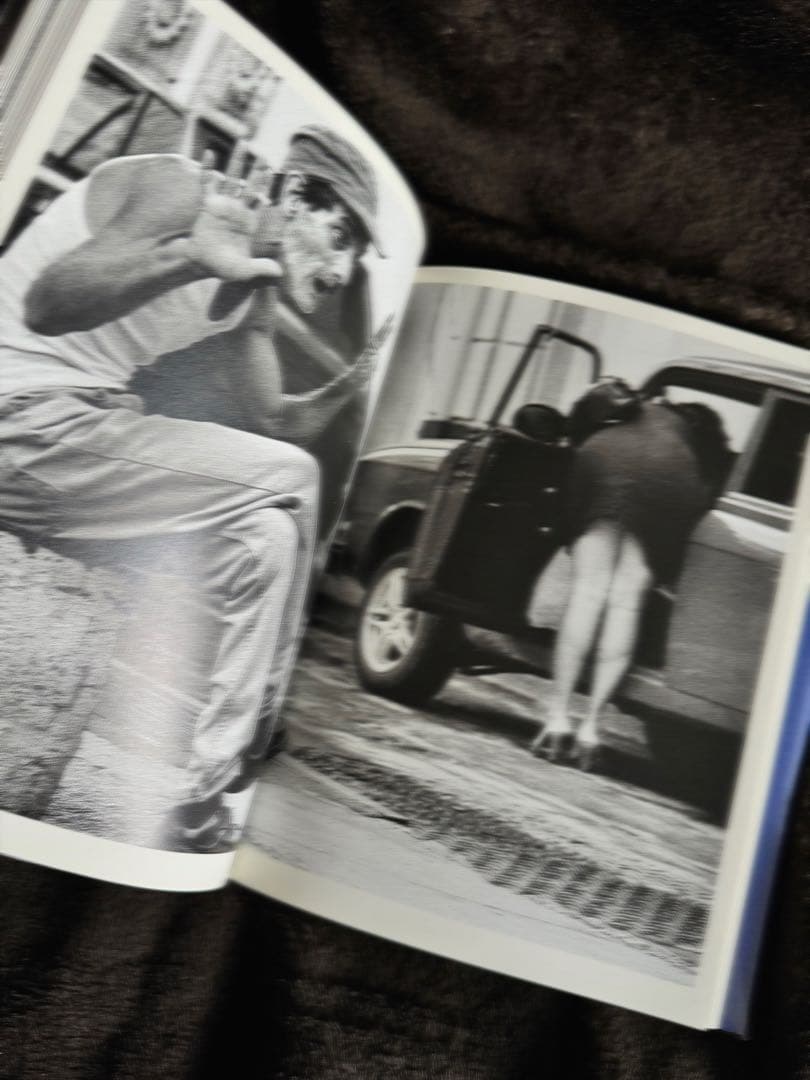 Raúl Cañibano Absolut Cuba 写真集