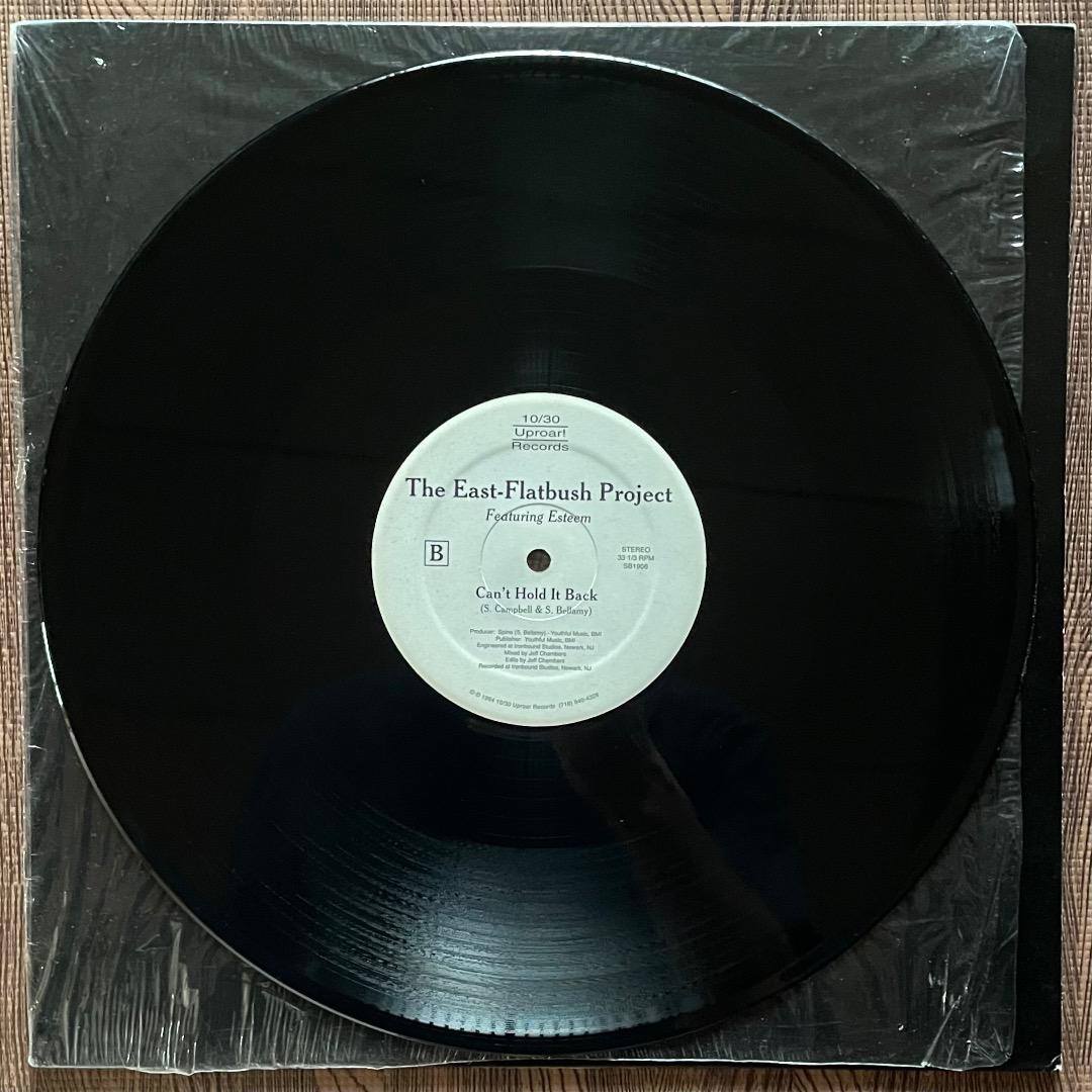 East-Flatbush Project– A Madman's Dream