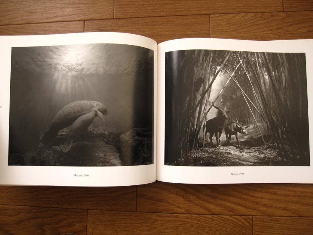 TIME EXPOSE / 杉本博司 : Hiroshi Sugimoto