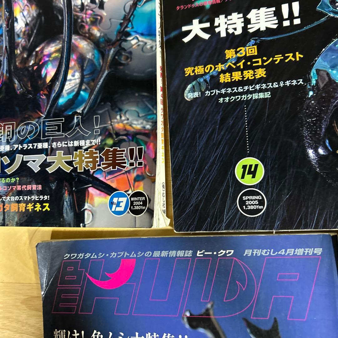 ビークワ7冊.月刊むしブックス5まとめ売り