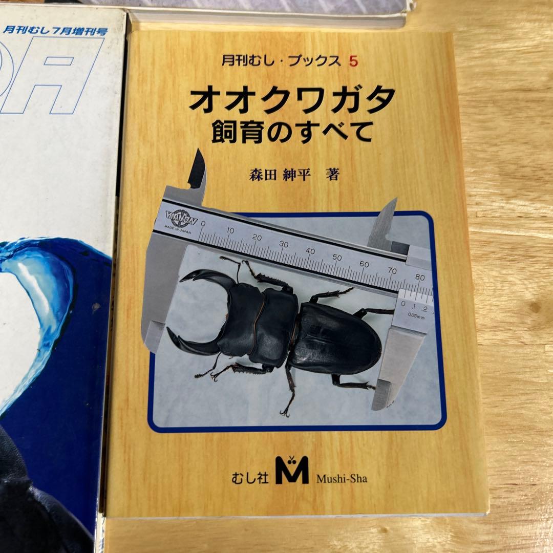 ビークワ7冊.月刊むしブックス5まとめ売り