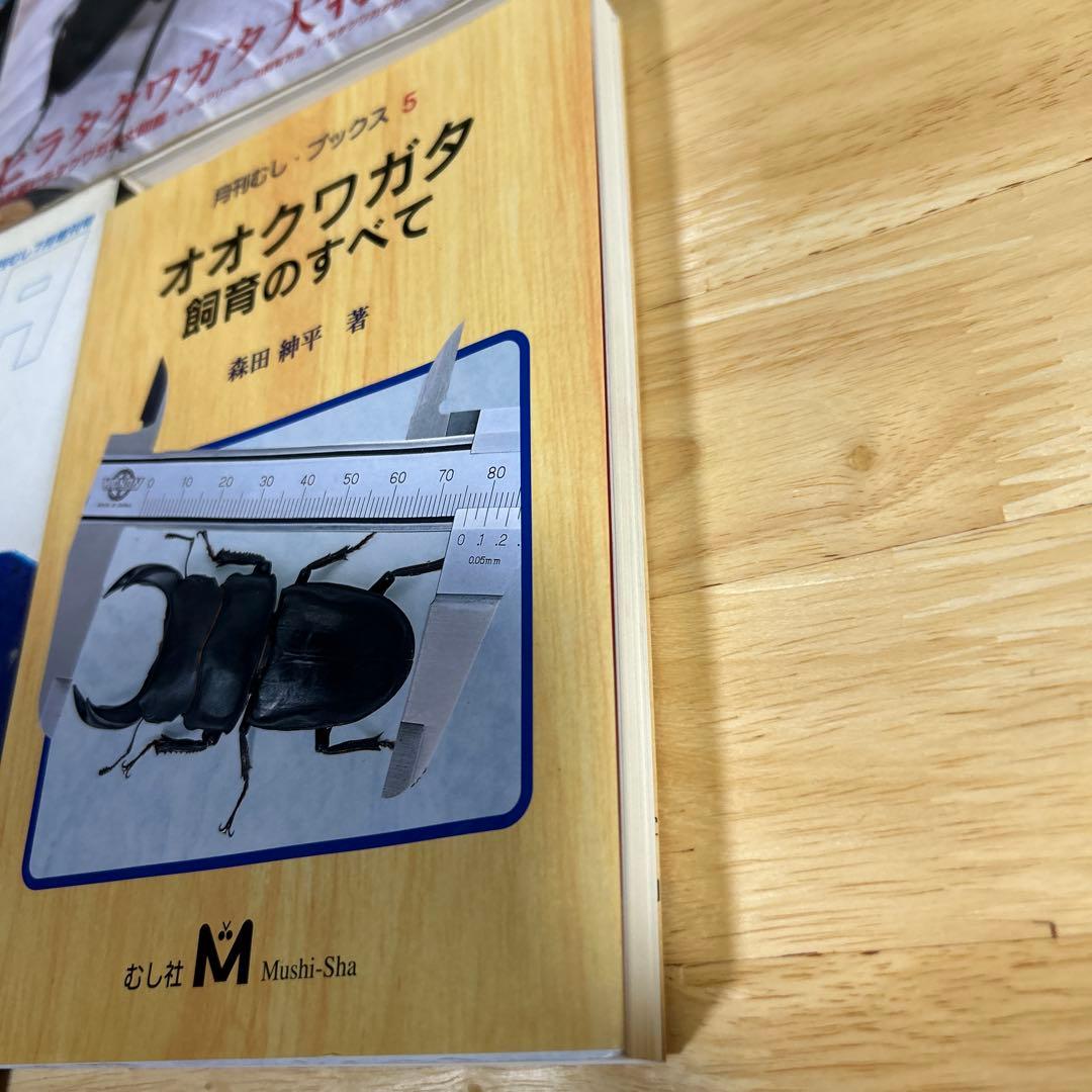 ビークワ7冊.月刊むしブックス5まとめ売り