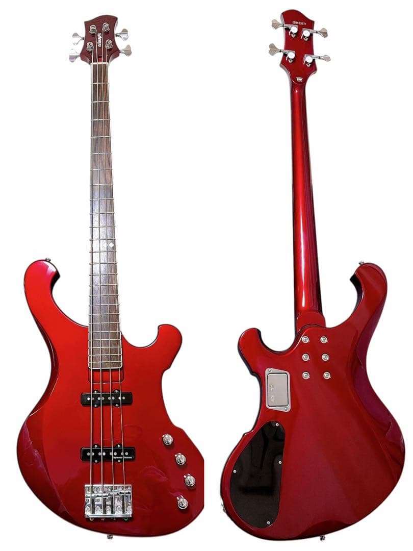超美品EDWARDS E-RF-01 れいたモデル ESP アクティブ仕様