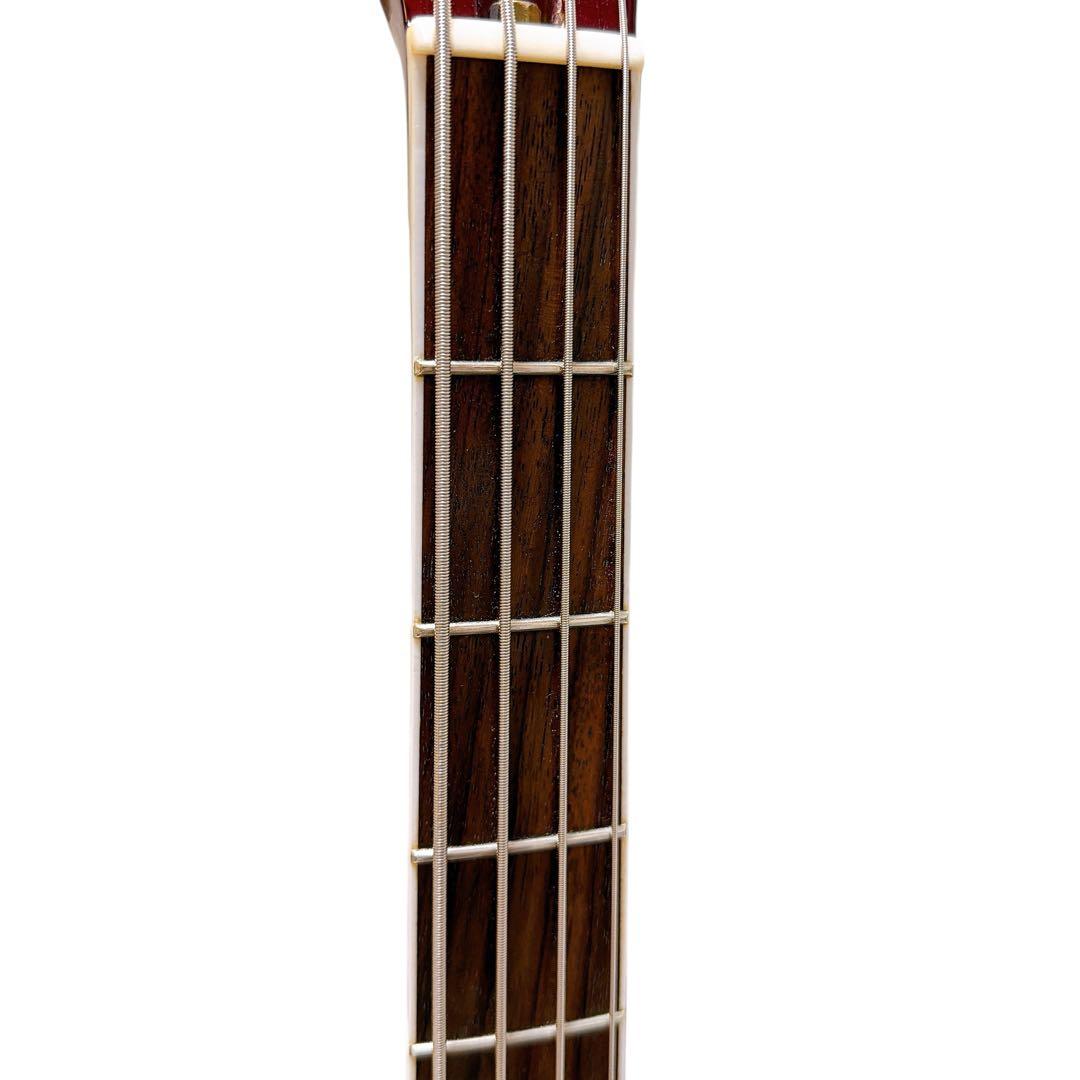 超美品EDWARDS E-RF-01 れいたモデル ESP アクティブ仕様