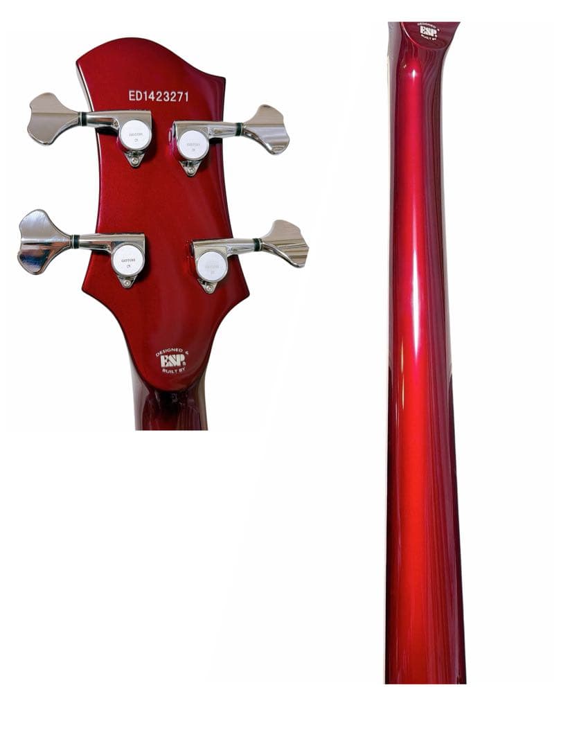 超美品EDWARDS E-RF-01 れいたモデル ESP アクティブ仕様