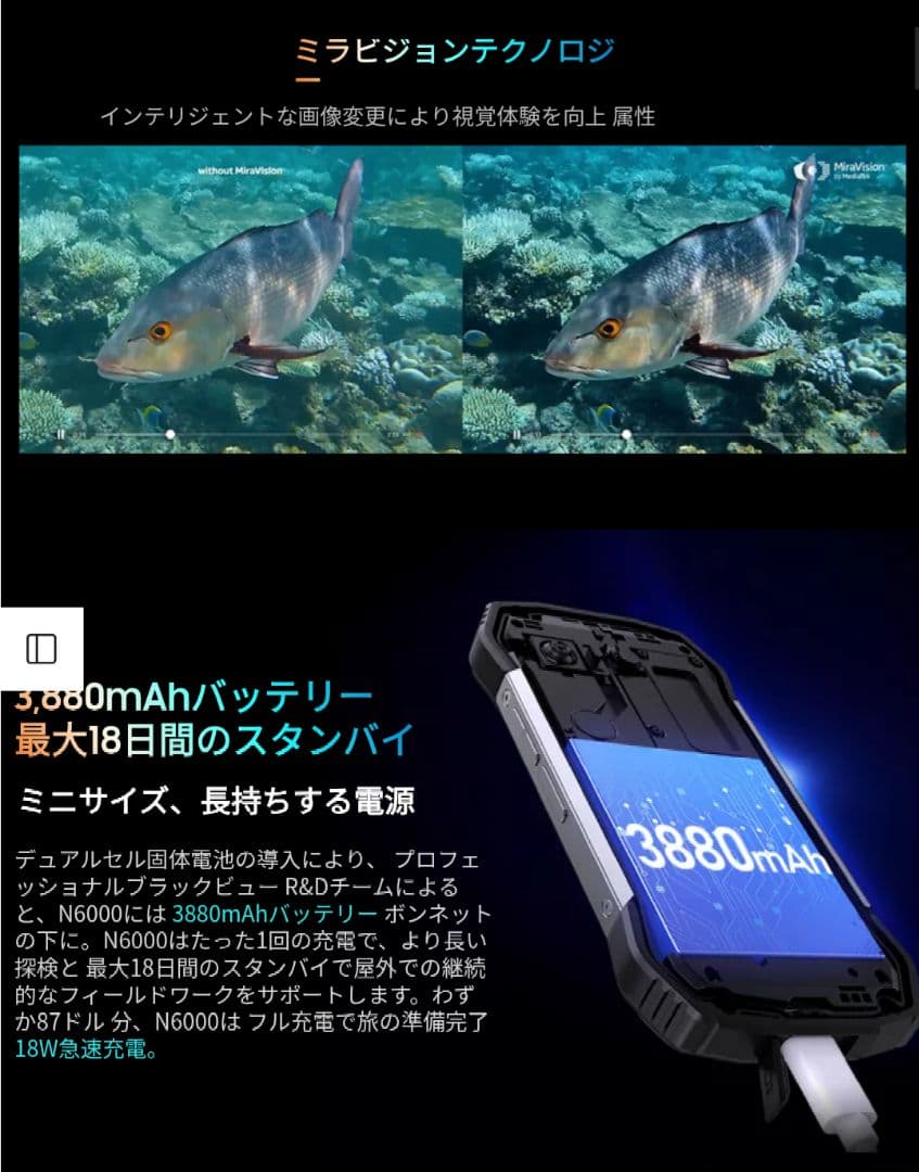 シムフリー Blackview N6000 16GB※ 256GB OS13
