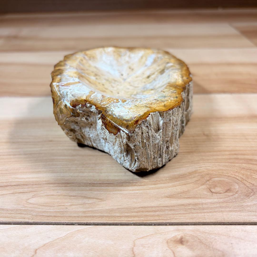 [0] 珪化木 15×10cm (すり鉢加工/磨き上げ)