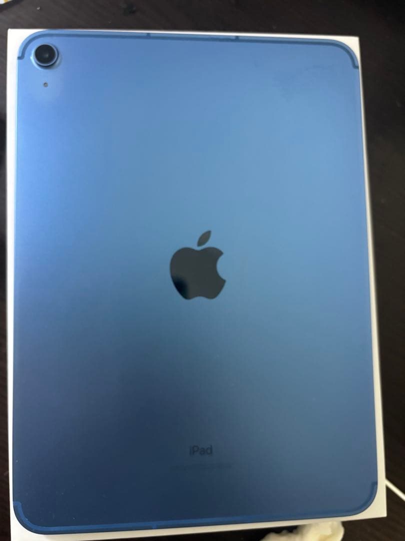 iPad 第10世代セルラーモデル（Cellular）ブルー