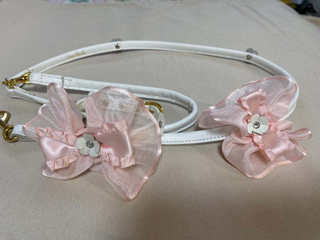 リュクスバーディ Luxebirdie カラー リード セット