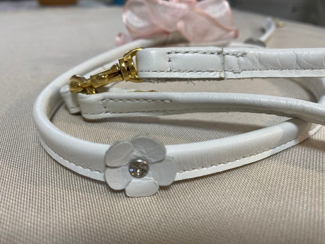 リュクスバーディ Luxebirdie カラー リード セット