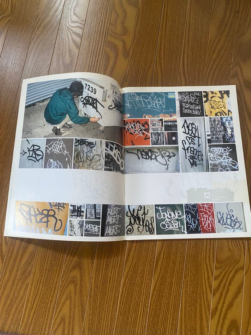 The Vandalizer 写真集　graffiti art NY 2000年