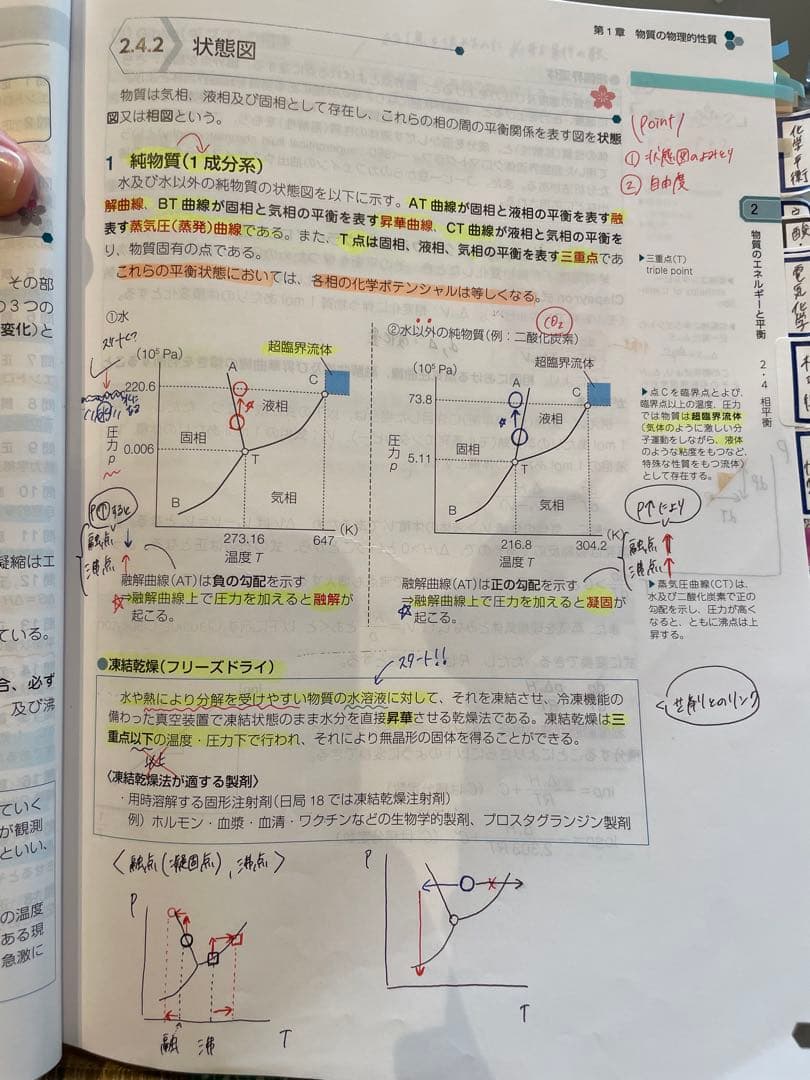 薬剤師国家試験対策 青本・青問セット/110回対策用