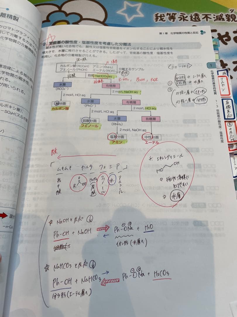 薬剤師国家試験対策 青本・青問セット/110回対策用