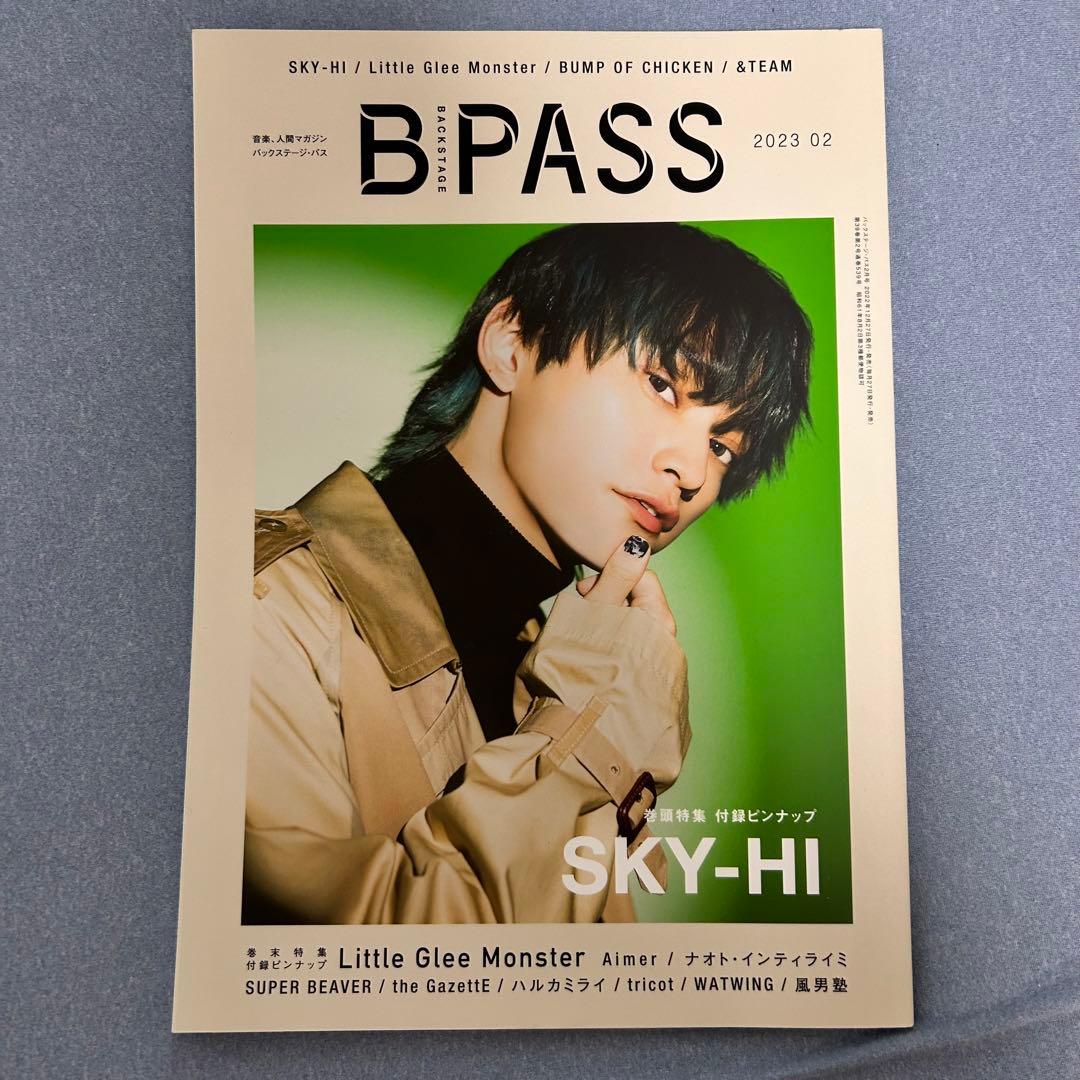 雑誌まとめ売り　（リトグリ関連）