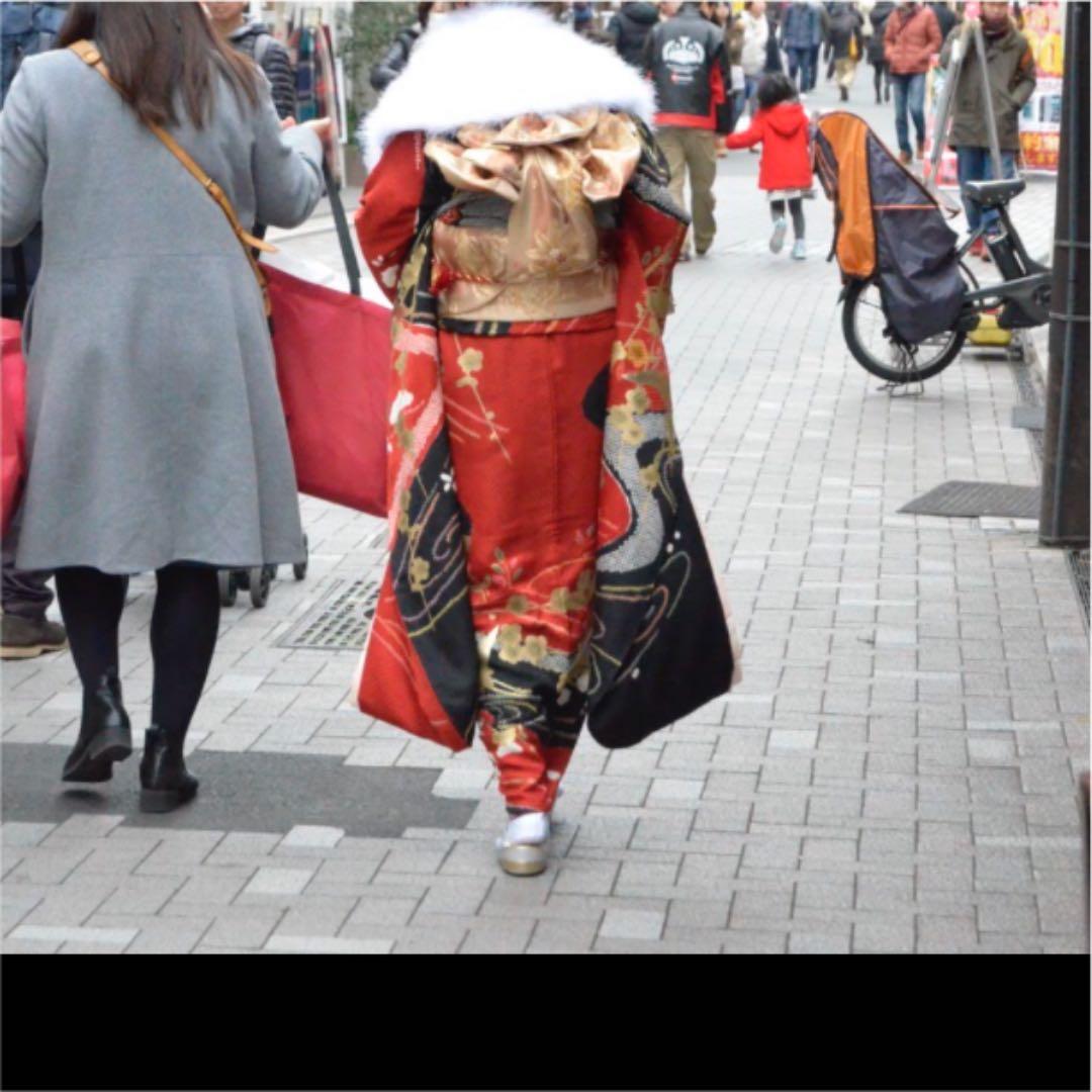 振袖　振袖セット