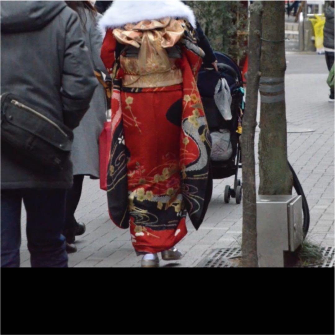 振袖　振袖セット