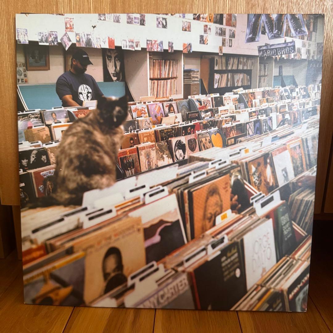 DJ Shadow Endtroducing... レコード2枚組