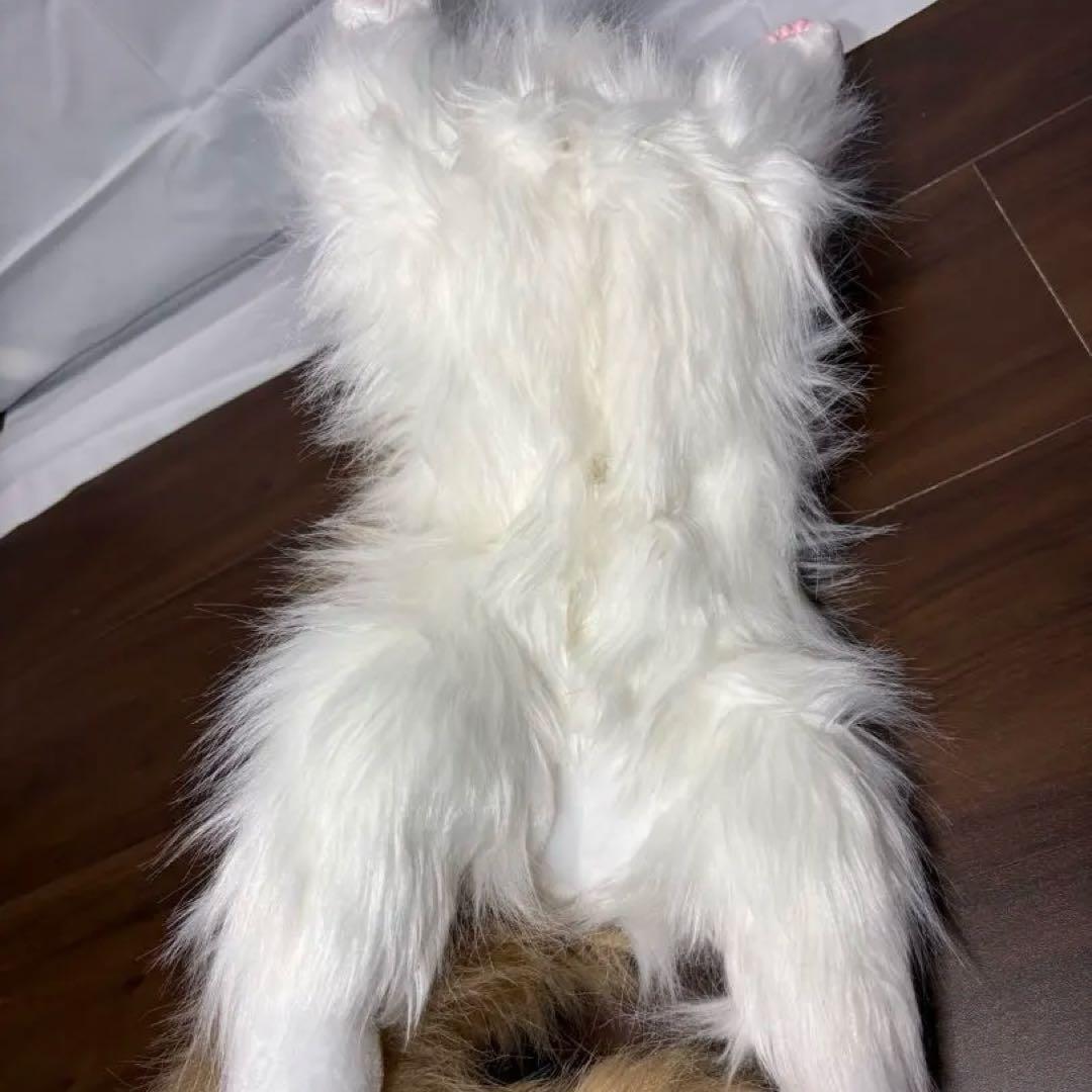 しっぽふりふり あまえんぼうねこちゃん 猫ぬいぐるみ 動く猫 鳴き声