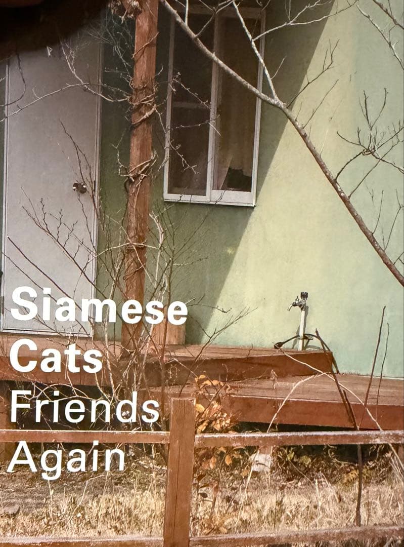Siamese Cats Friends Again 未開封　LP