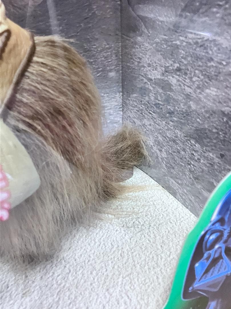 ハズブロ フィギュア