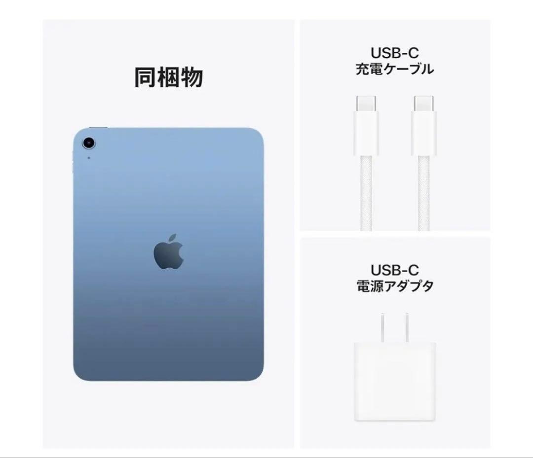 iPad (A16) Wi-Fi 128GB ブルー