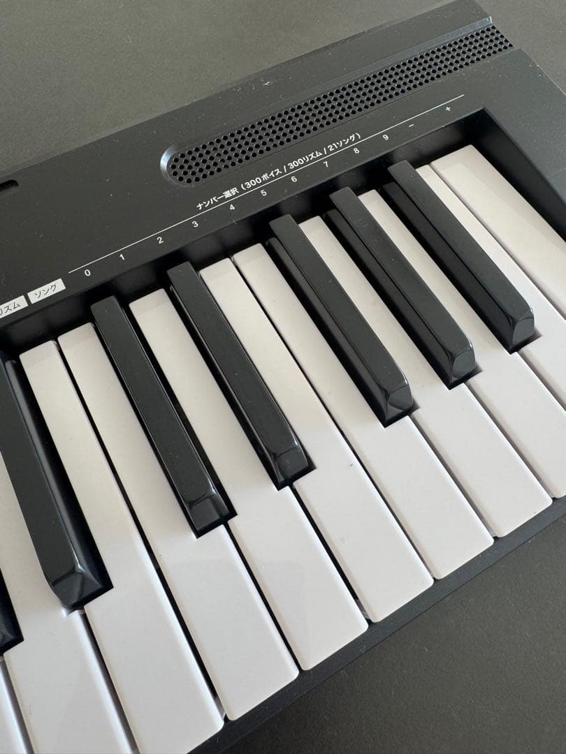 専用⭐︎TORTE TSDK-61 電子キーボード 61鍵