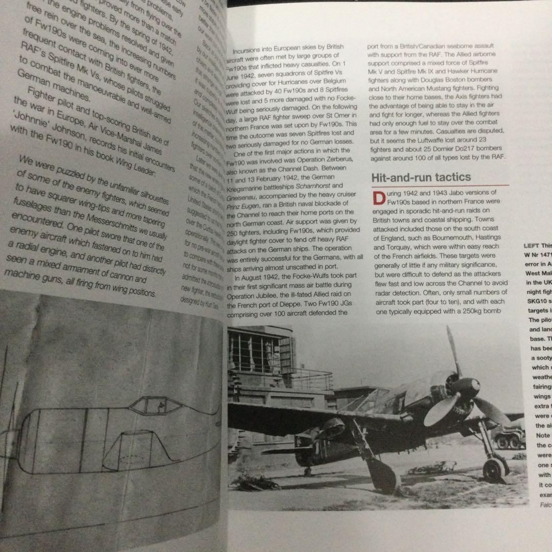 Haynes フォッケウルフ　Fw190 ドイツ軍　戦闘機　飛行機 ヘインズ