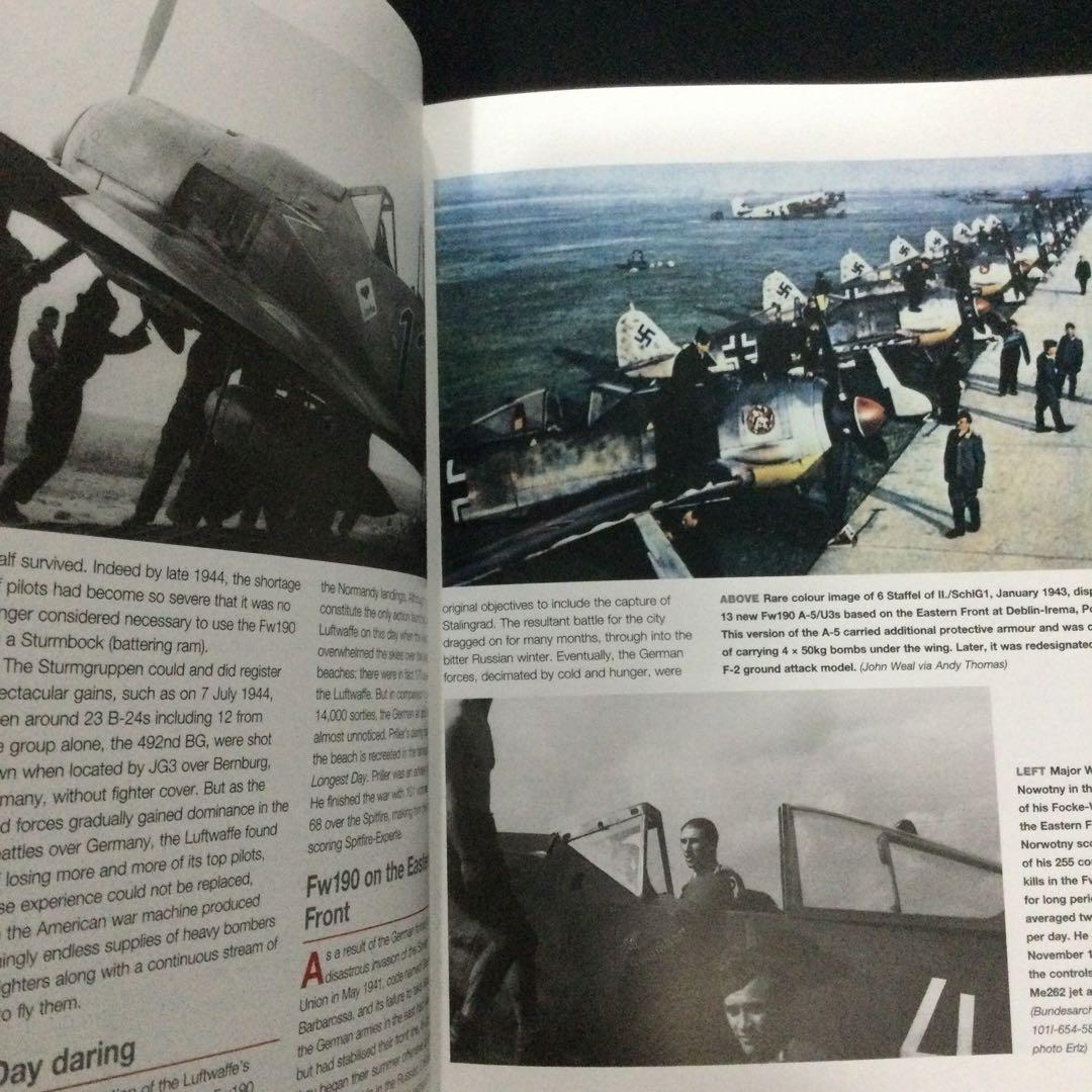 Haynes フォッケウルフ　Fw190 ドイツ軍　戦闘機　飛行機 ヘインズ