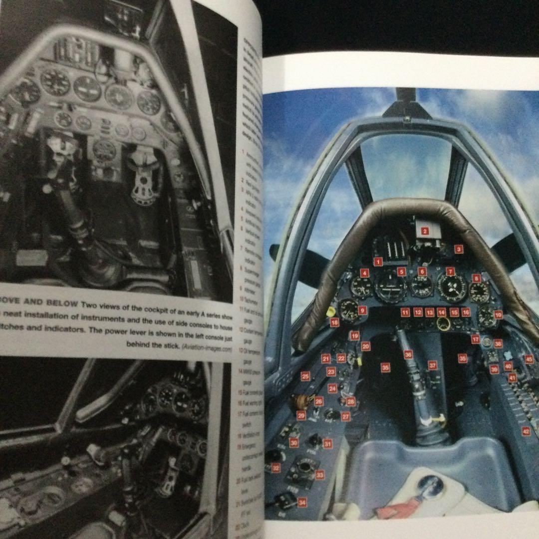 Haynes フォッケウルフ　Fw190 ドイツ軍　戦闘機　飛行機 ヘインズ