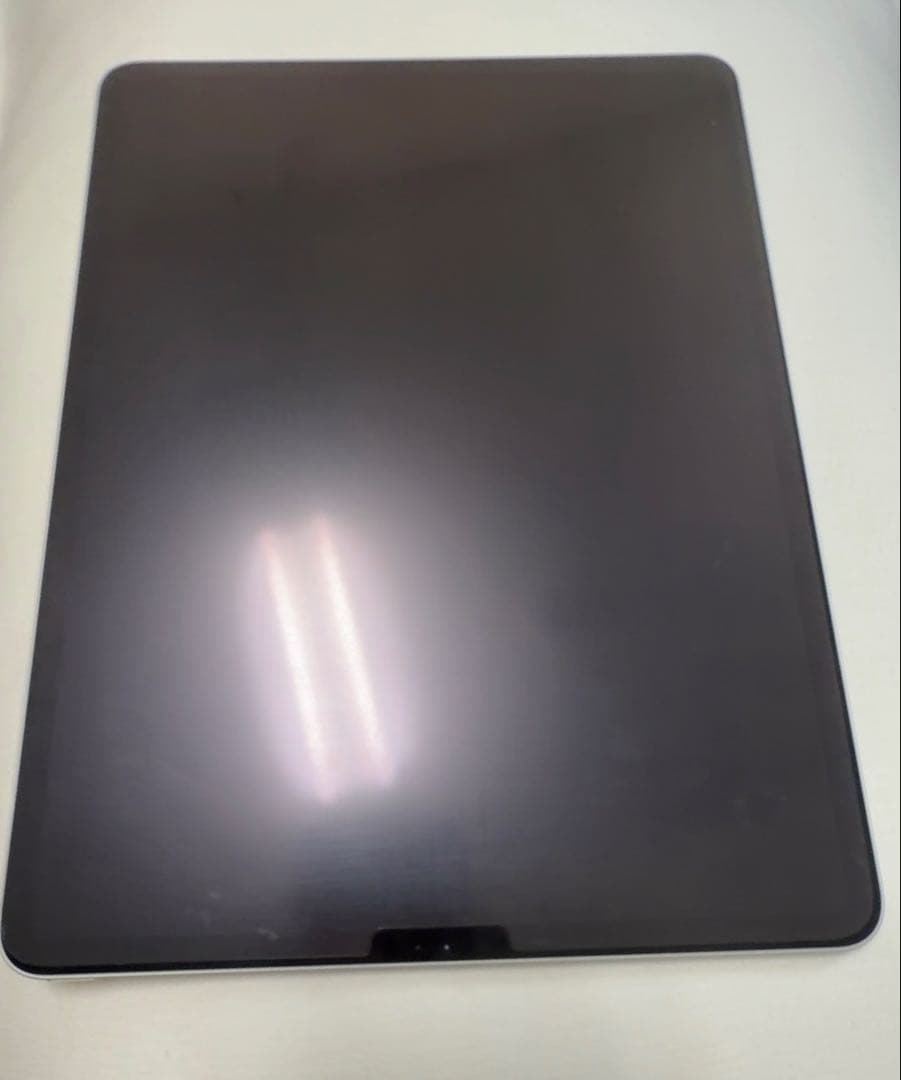 iPad Pro 12.9 第3世代 256GB シルバー 美品 MK付