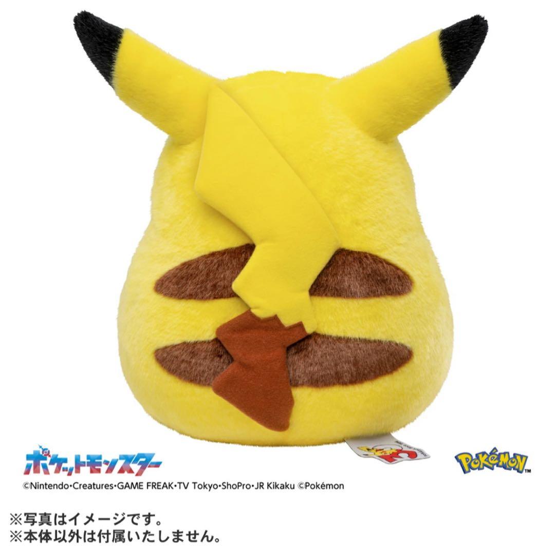 ポケモン30周年記念おかえり!ピカチュウ1/1 専用BOX付き