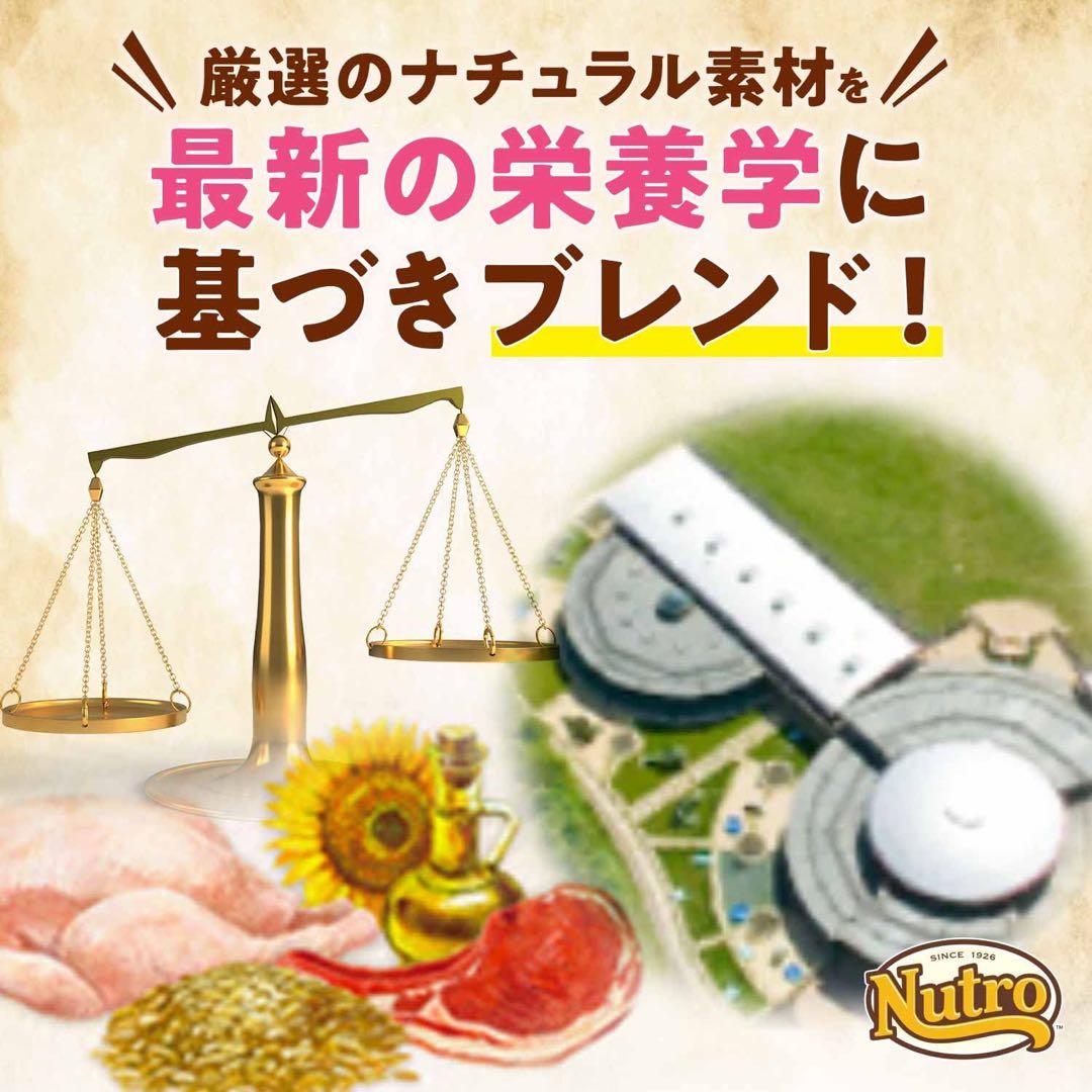 Nutro ナチュラルチョイス 子犬用 大型犬用 チキン&玄米 15kg