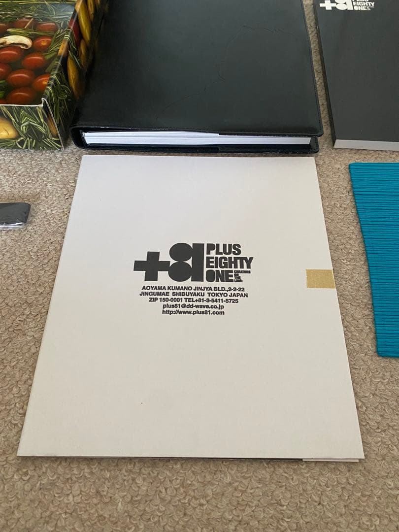 +81 Plus Eighty One Vol. 20 アートブック