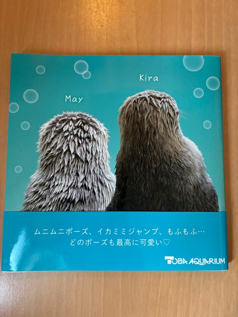 ラッコのメイとキラ　鳥羽水族館