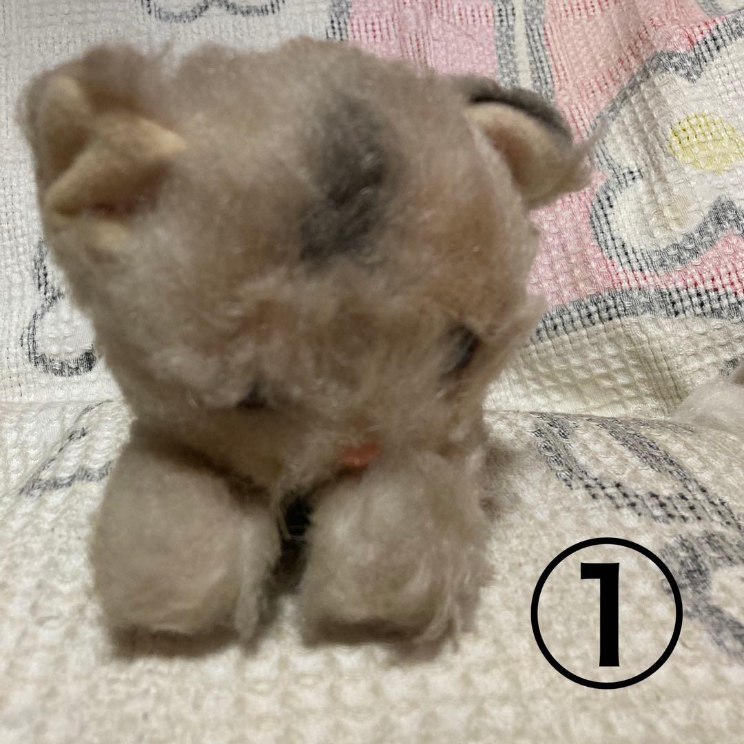 昭和レトロ　ヴィンテージ Meiji 明治　ノベルティ　猫　ぬいぐるみ　2こ